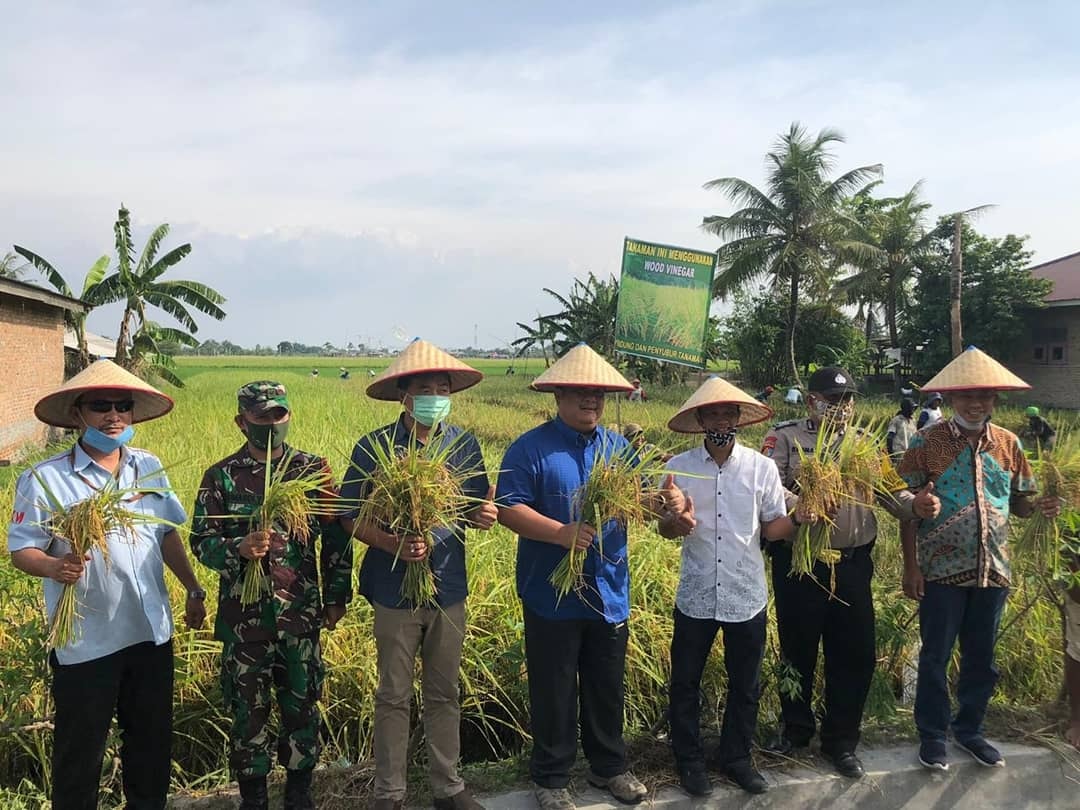 Prime Rice Harvest uses Liquid Fertilizer Products of PT. KIM Guided Partners