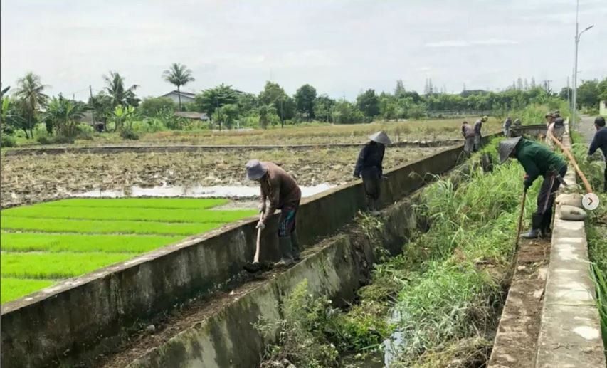 Normalisasi Kanal di Martubung 